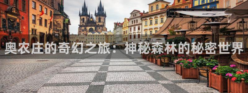 天辰娱乐国际