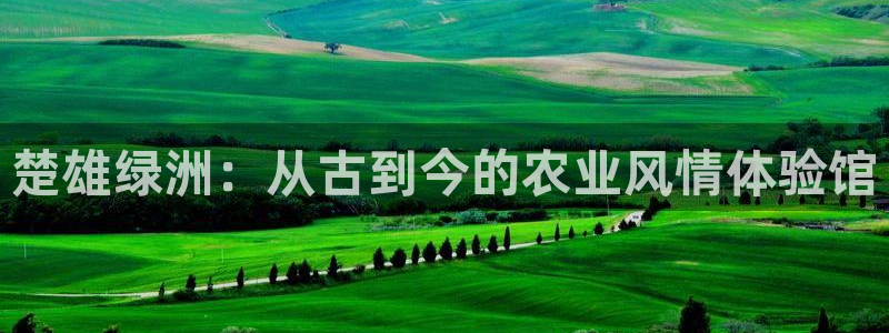 天辰娱乐app