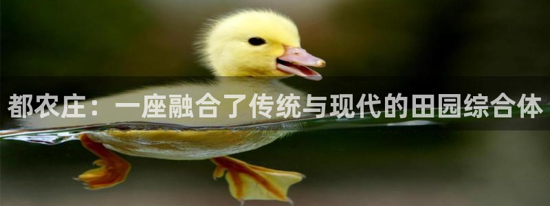 天辰娱乐总管