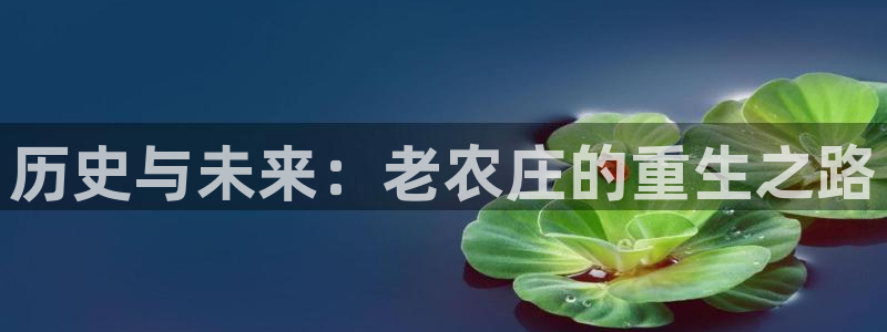 天辰娱乐入口