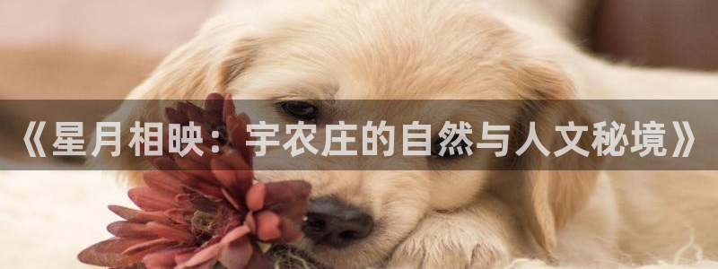 天辰娱乐总管