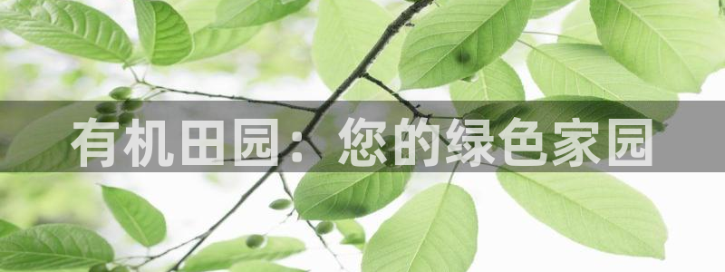 南京天辰娱乐