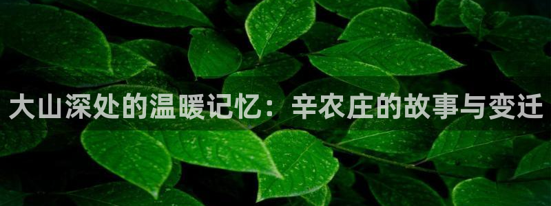 天辰娱乐在线