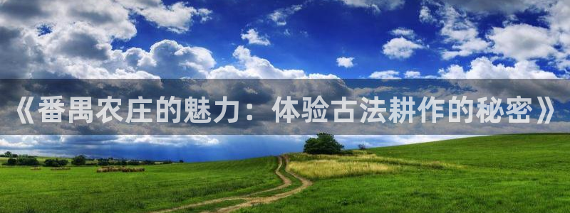 天辰娱乐服务
