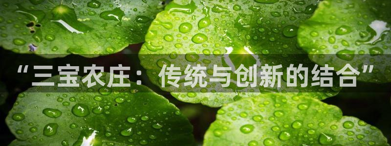 天辰娱乐主页