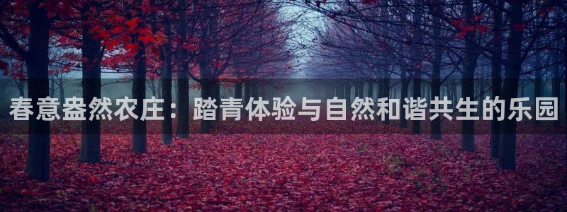 天辰娱乐怎么样