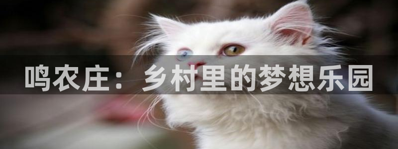 天辰a娱乐