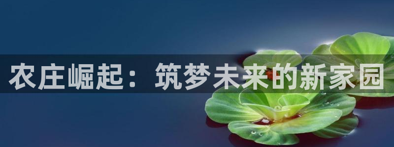 天辰娱乐 231639