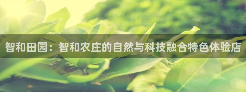 天辰娱乐小姐