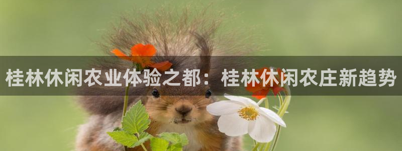 天辰娱乐怎么样