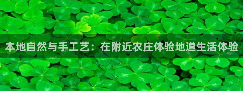 菲律宾天辰娱乐