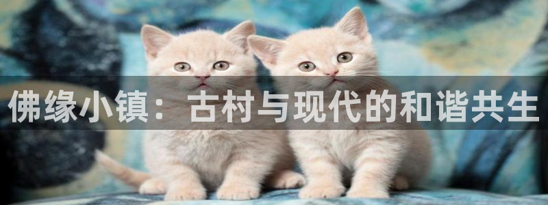 天辰娱乐平台靠谱么