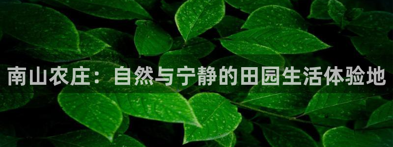 天富娱乐天辰娱乐