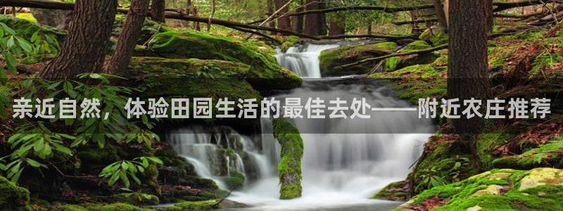 天辰宝宝娱乐