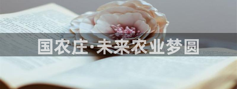 天辰娱乐51137