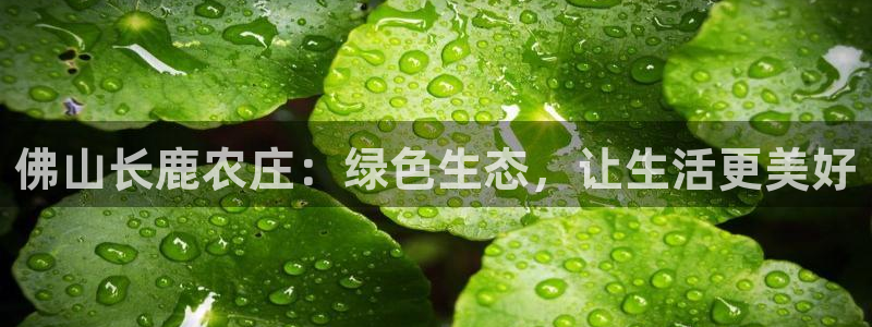 天辰娱乐主页
