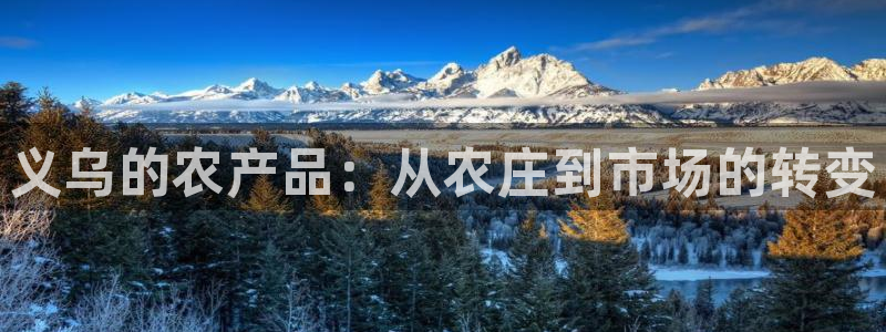 天辰辰娱乐代理