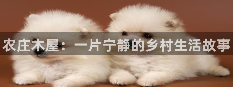 天辰娱乐卡