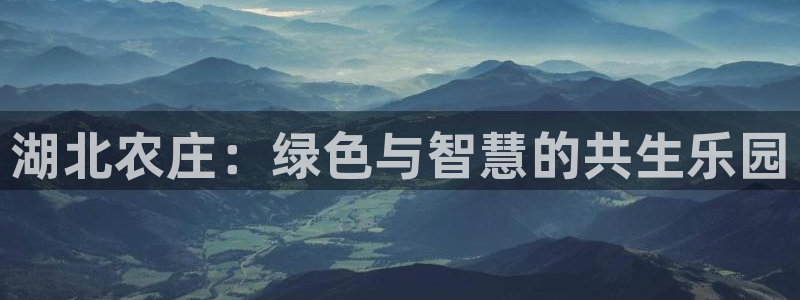 天辰宝娱乐