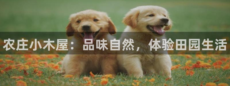 天辰娱乐平台入口