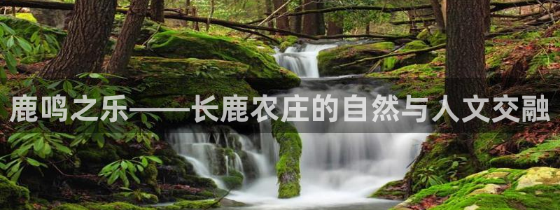 菲律宾天辰娱乐