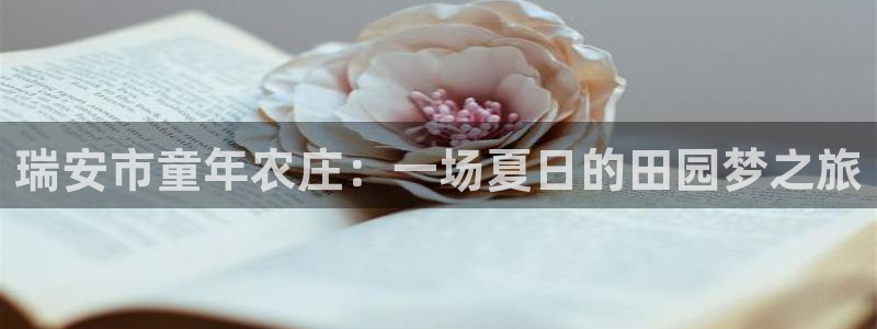 天辰娱乐维护