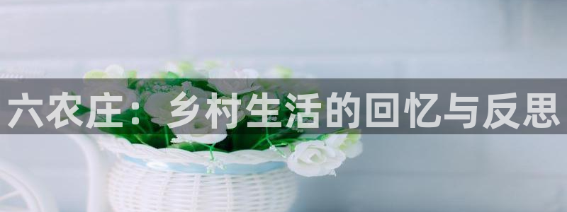 天辰娱乐 849852