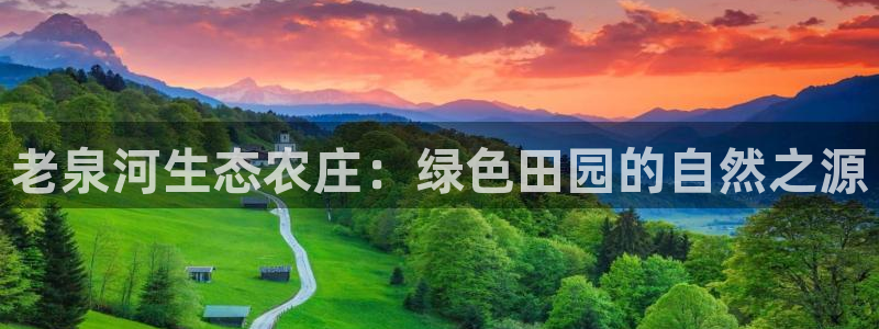 天辰娱乐登录测试