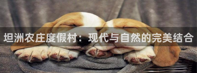 天辰娱乐天辰宝