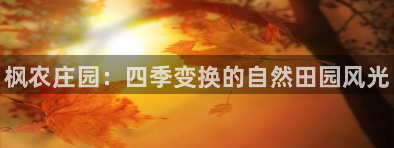 辰天娱乐用品