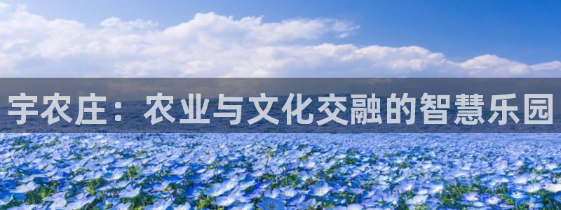 天辰娱乐欢乐