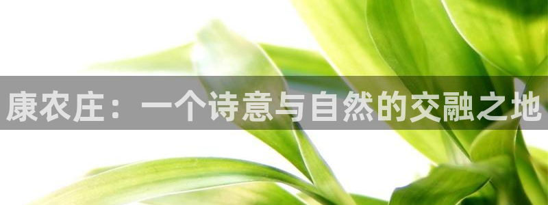 天辰娱乐 44516