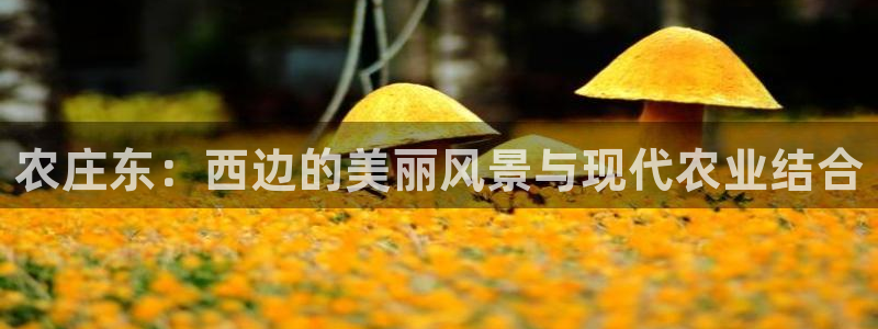 nba天辰娱乐
