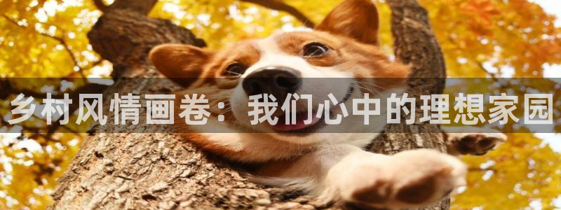 天辰线上娱乐