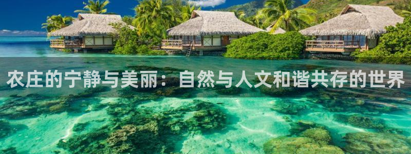 天辰娱乐反水