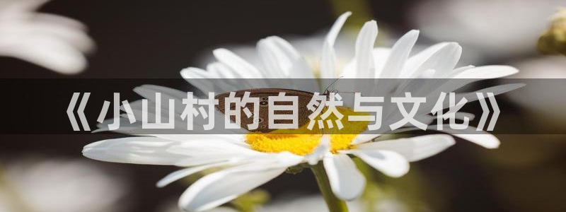 天辰辰娱乐代理