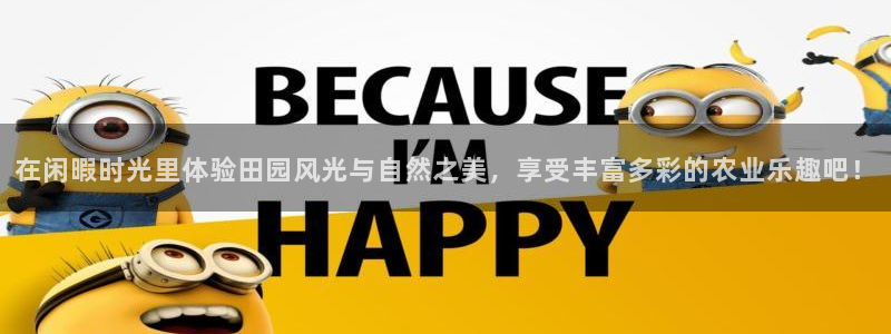 天辰娱乐股东