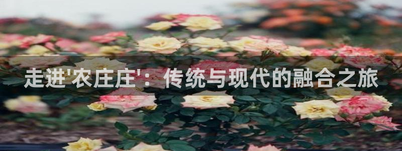 下载天辰娱乐