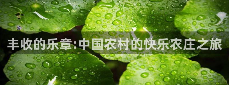 天辰娱乐股票