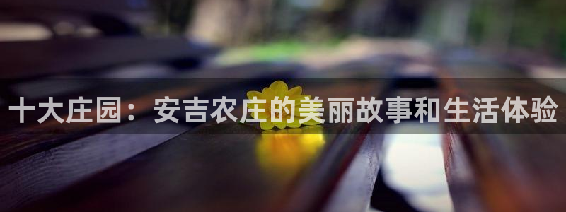 天辰娱乐小姐