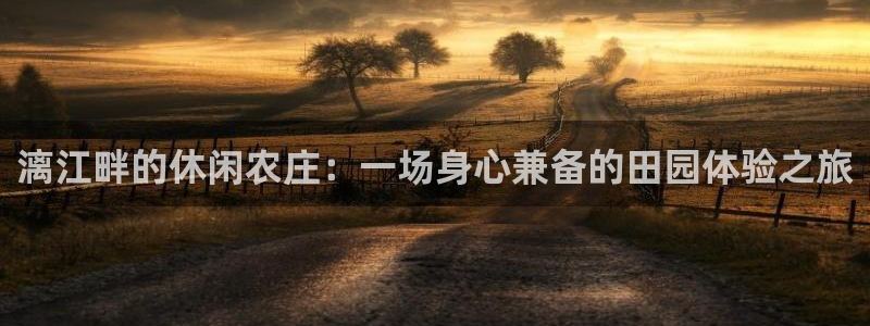 天辰娱乐51137