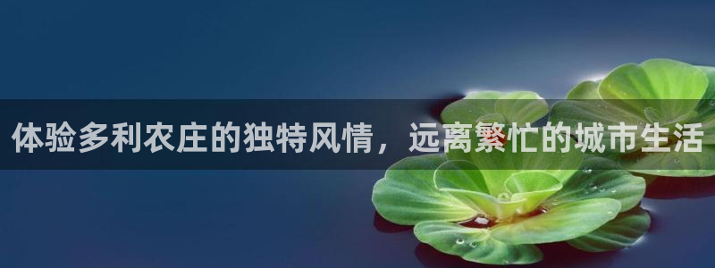 天辰娱乐登陆平台