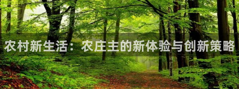 天辰娱乐官网平台入口