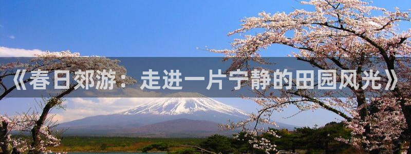 天辰娱乐平台注册