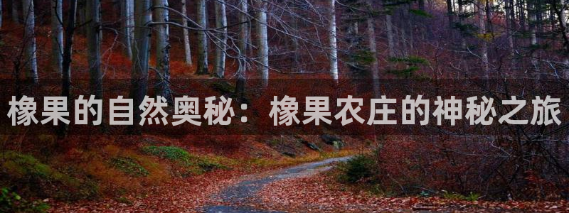 天辰娱乐娱乐平台