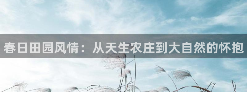 天辰娱乐游客