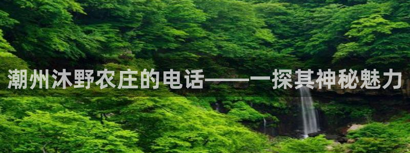 天辰娱乐代理