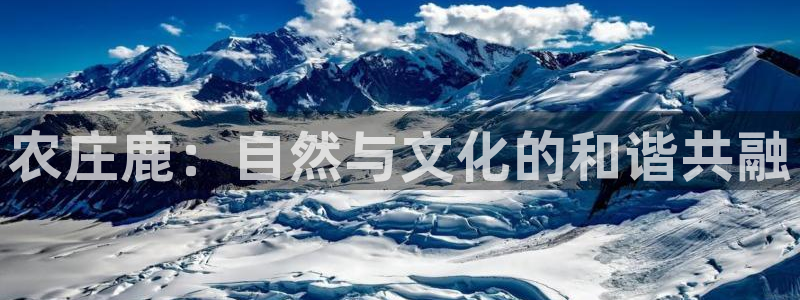 天辰娱乐 728567