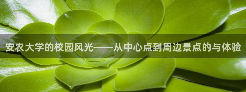 天辰娱乐的网址首页