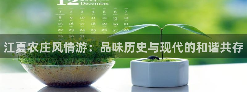 天辰娱乐小姐